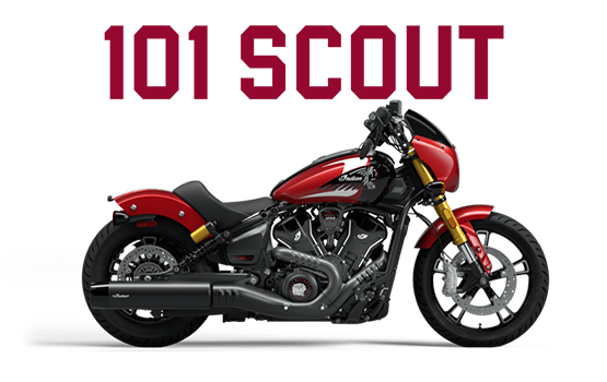 101 Scout