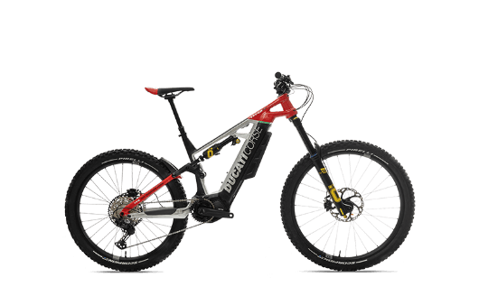 E-MTB Image