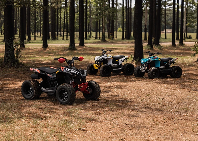 Renegade EFI Gallery Image 3